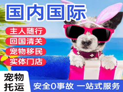 宜宾五粮液机场货运国际宠物托运 【国